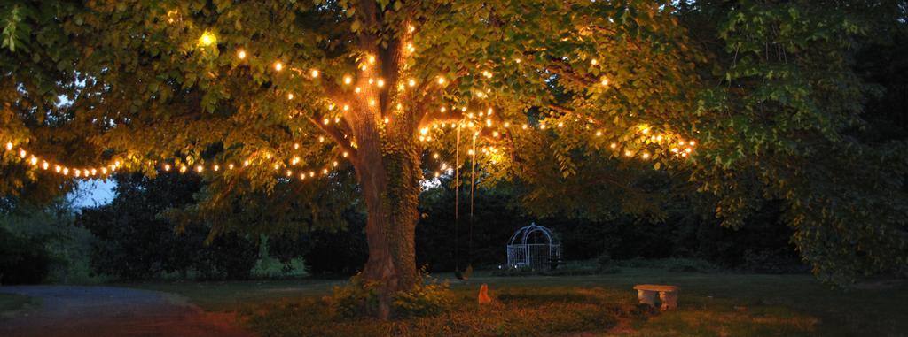 Inn On Poplar Hill Orange Bagian luar foto